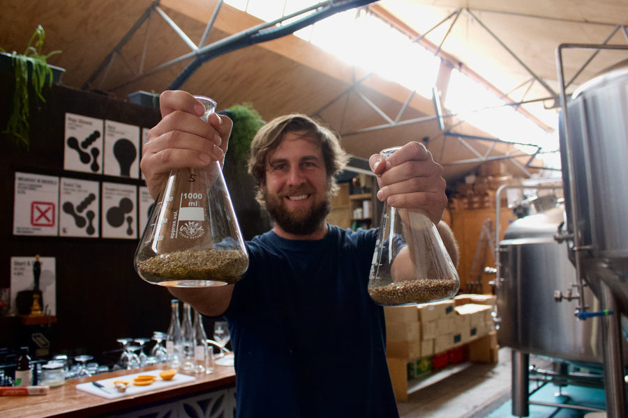 Pastis, Our Passion Project