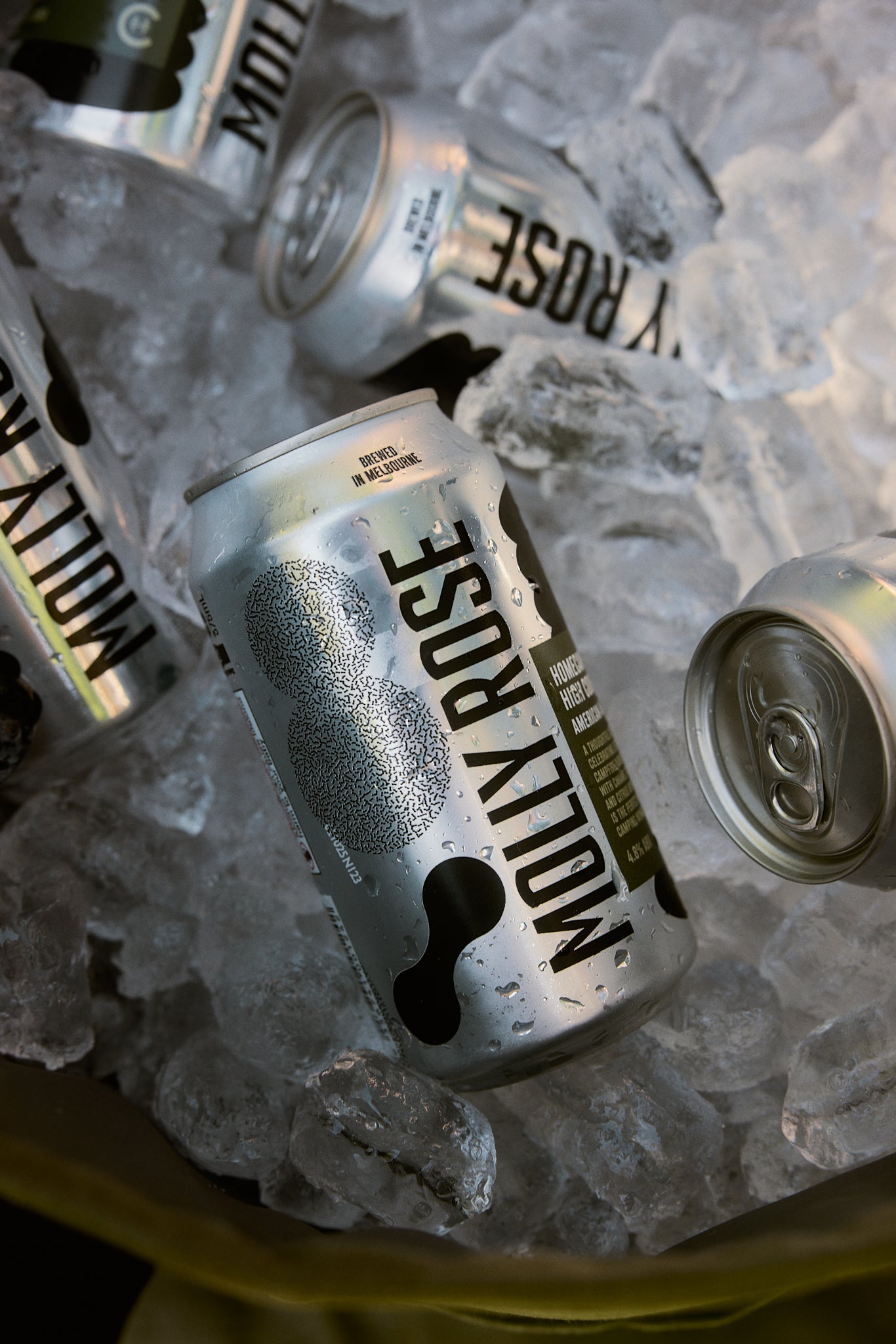 Home Camp High Country Ale